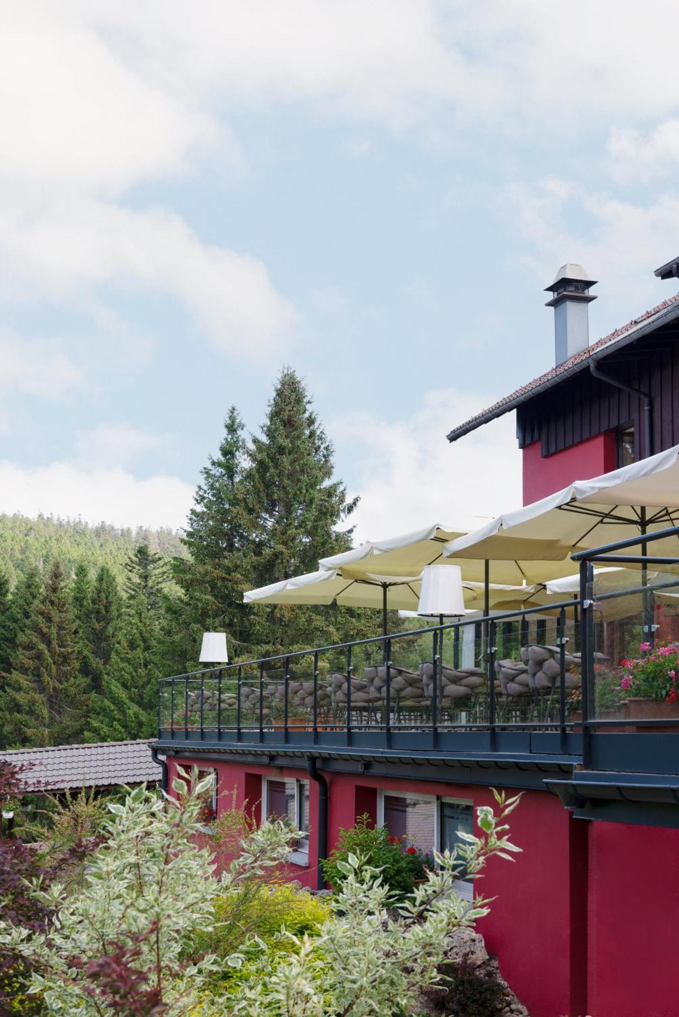 Hotel Restaurant Spa Les Jardins De Sophie Xonrupt-Longemer Exteriör bild