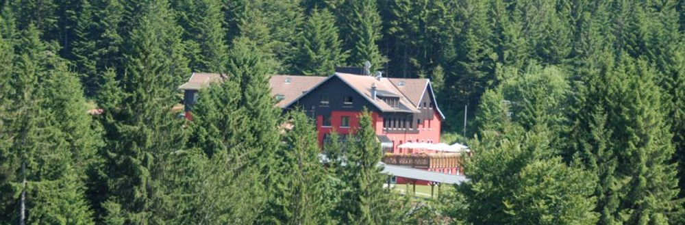 Hotel Restaurant Spa Les Jardins De Sophie Xonrupt-Longemer Exteriör bild